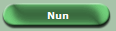 Nun